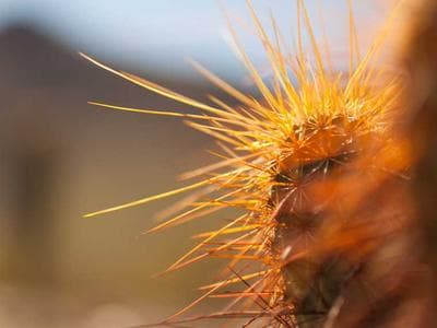 OKK Robot Building Kit - Test URL Format 3 (Long URL)