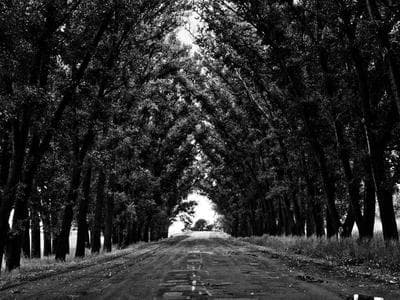 Instant Pot Duo 7-in-1 Electric Pressure Cooker